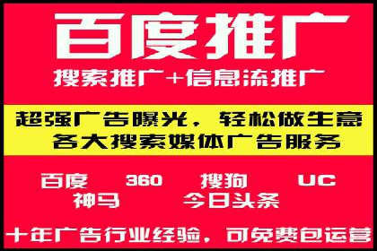 SEM托管公司案例分析：实战技巧全解析
